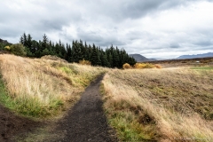 Þingvellir - Thingvellir National Park